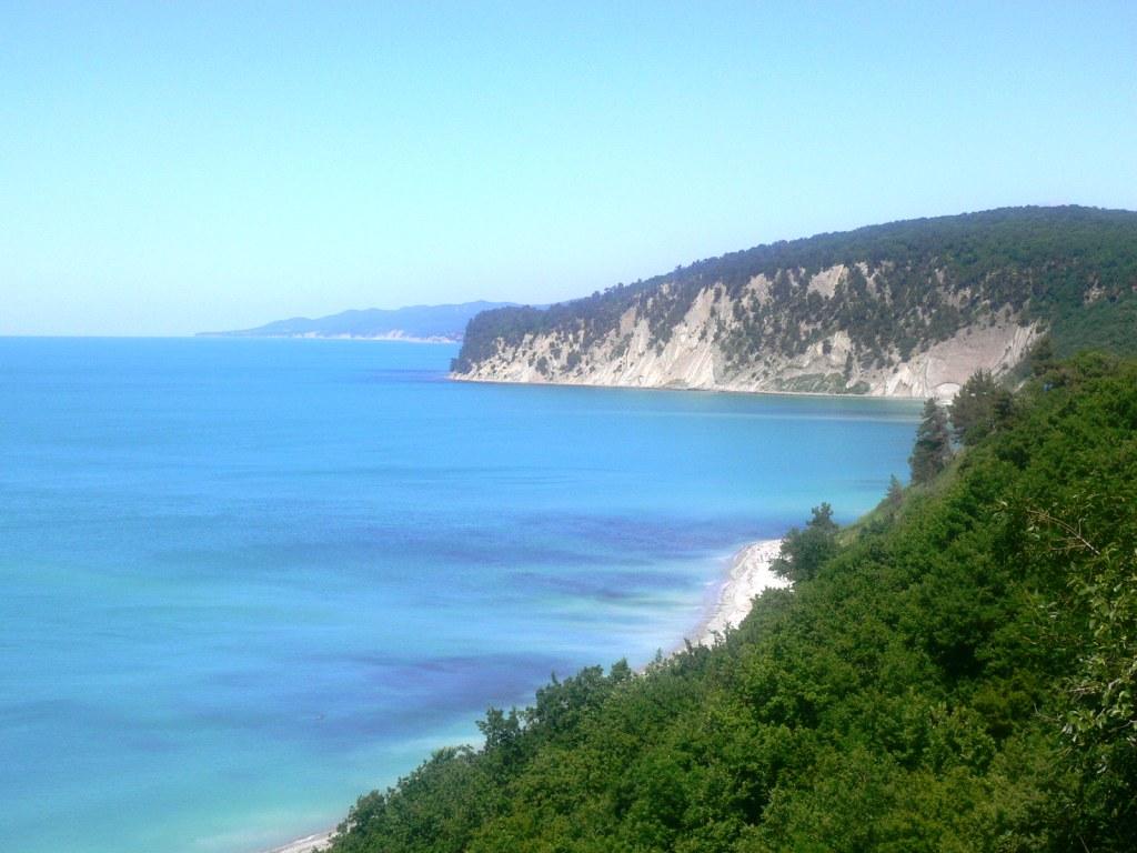   - 2006